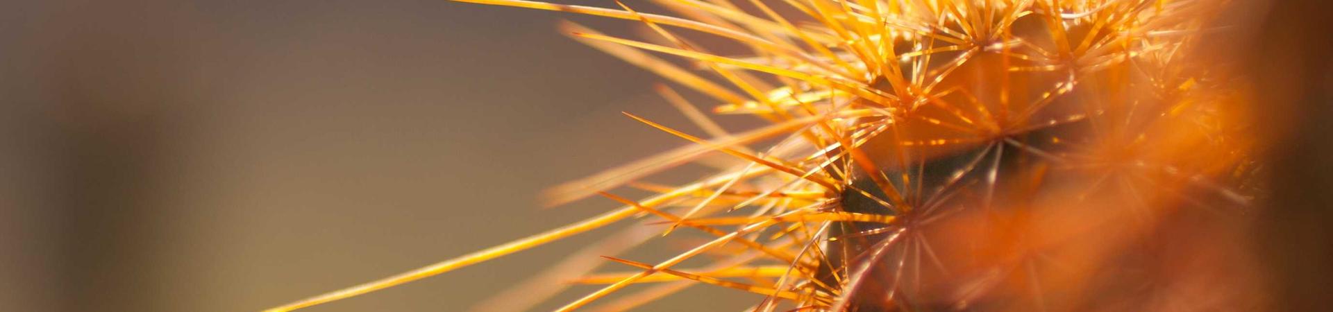 苏州柜夫人全屋定制家居有限公司 &middot; 襄樊运营中心